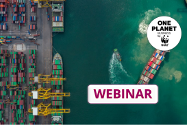 Klimaschutz in Unternehmen: Der neue SBTi Corporate Net-Zero Standard